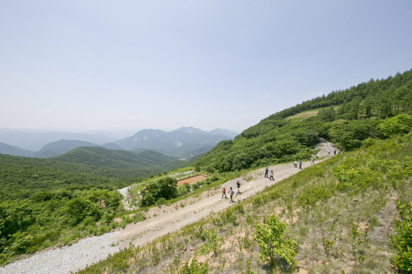 운탄고도/사진제공=강원랜드