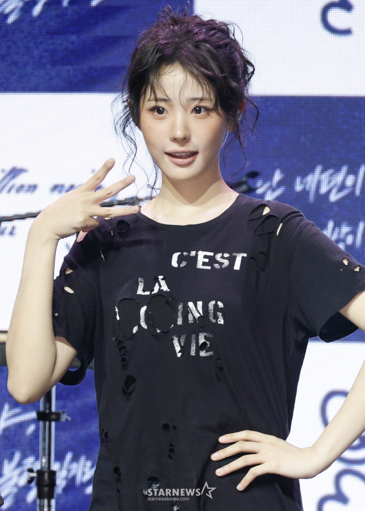 사진