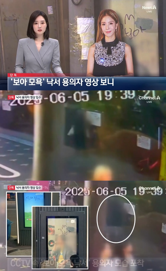 /사진=뉴스 영상 캡처