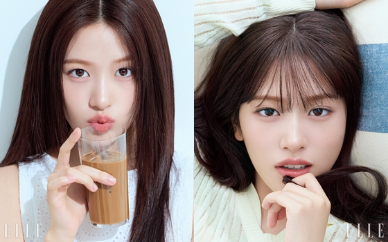 사진