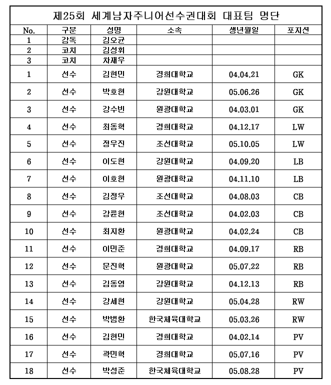 /사진=대한핸드볼협회