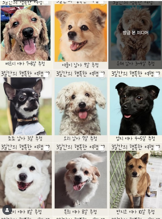 /사진=이효리 개인계정