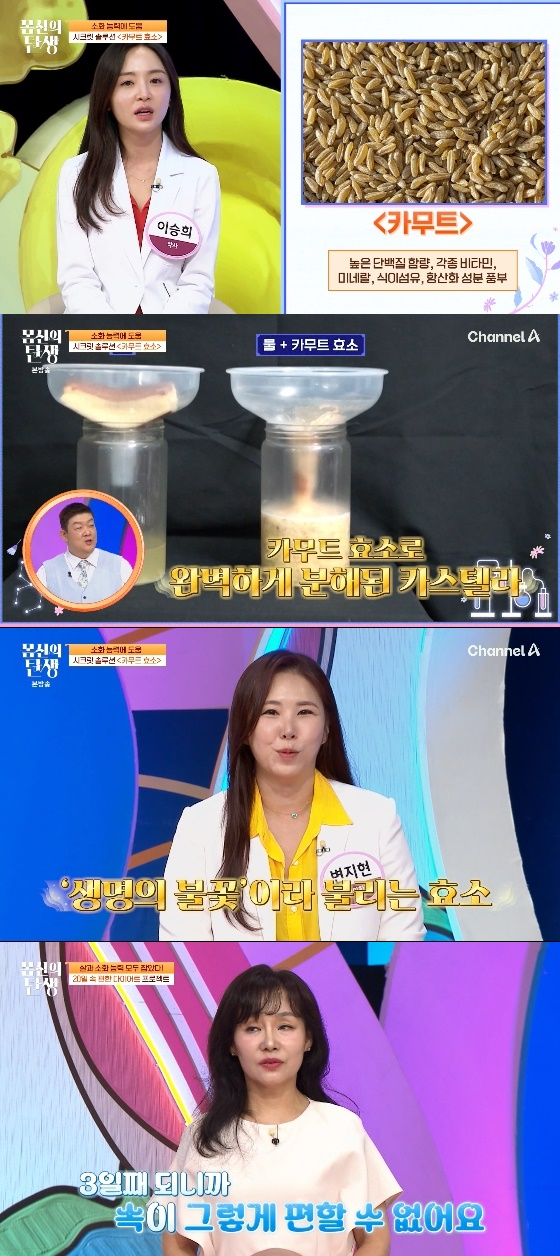 /사진= 채널A '몸신의 탄생' 방송화면