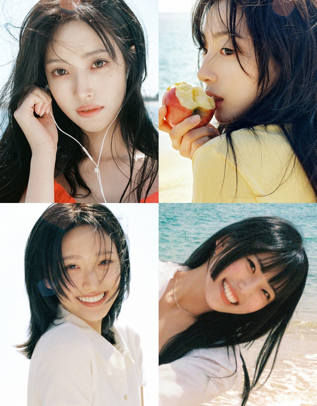 사진