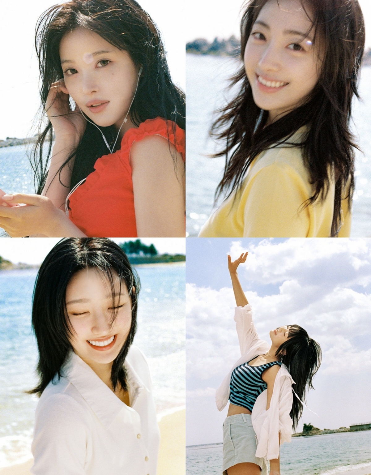 사진