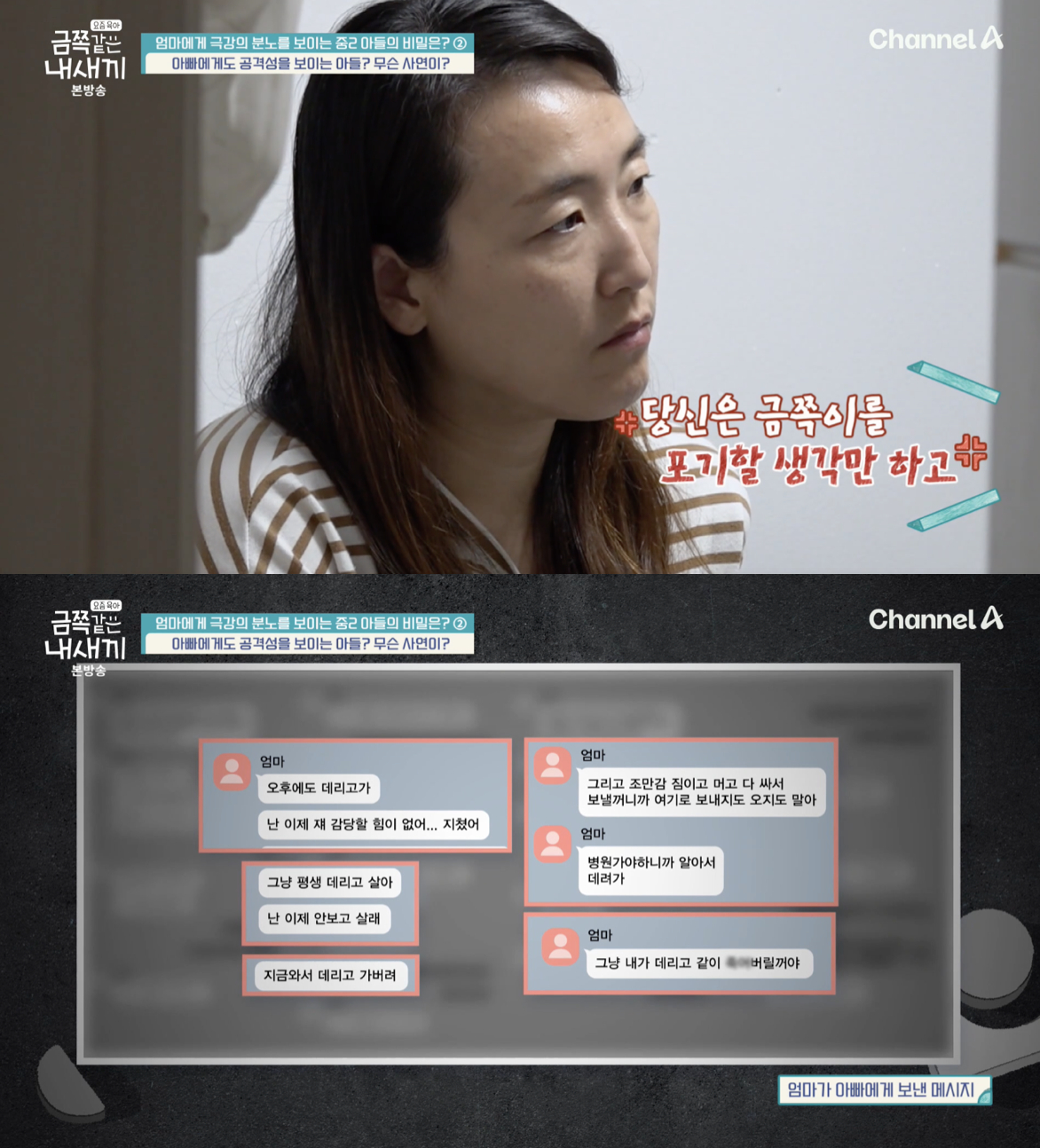 /사진='금쪽같은 내새끼' 방송화면 캡쳐