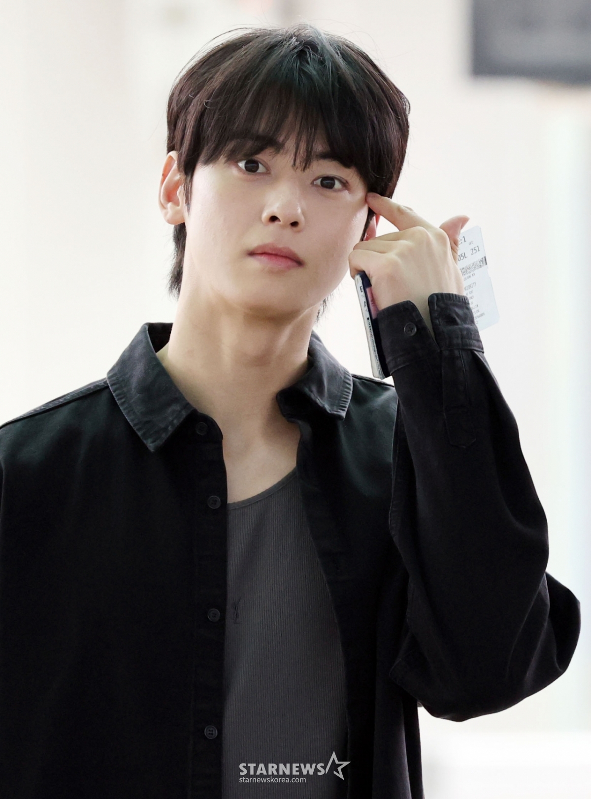 사진