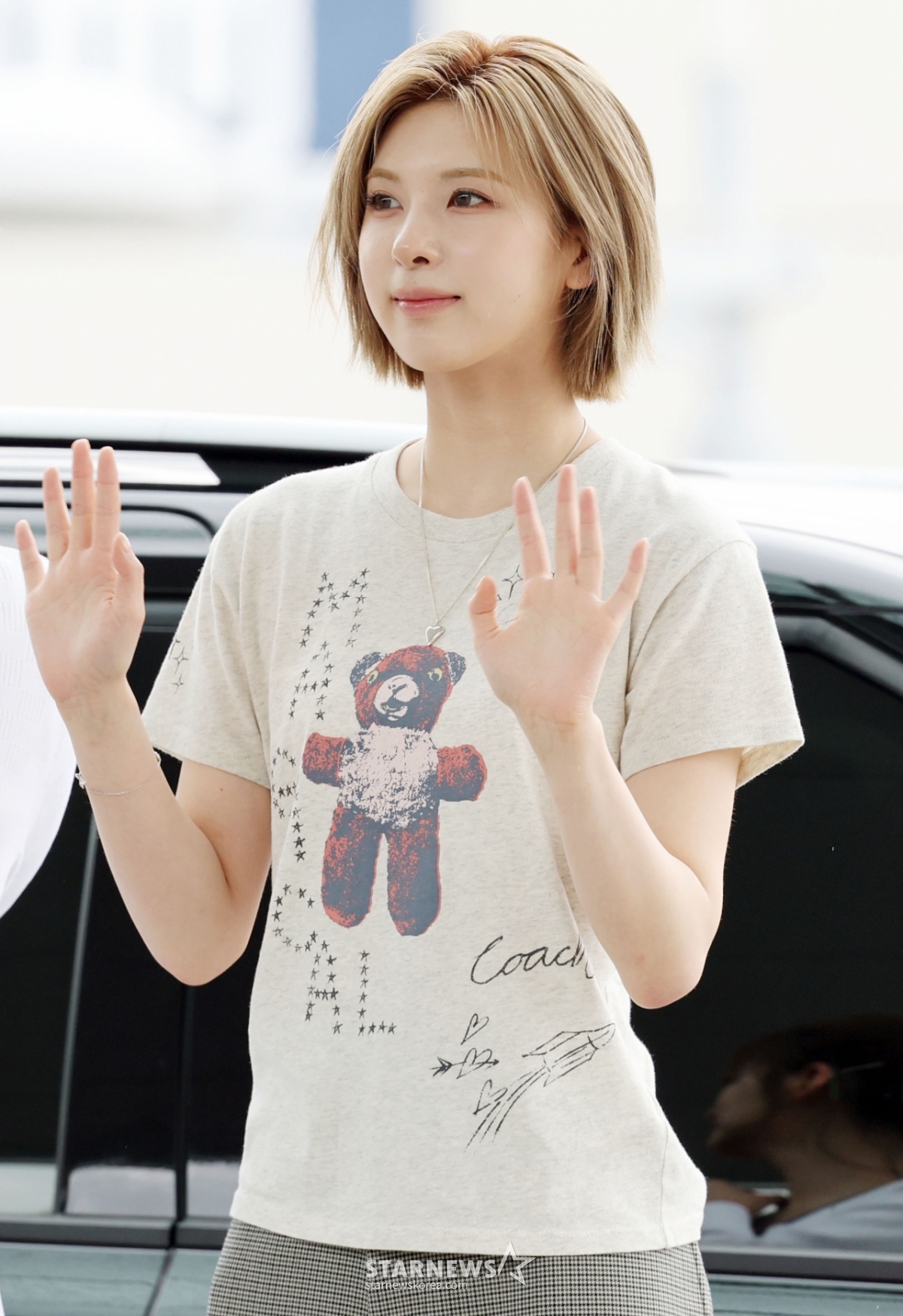 사진