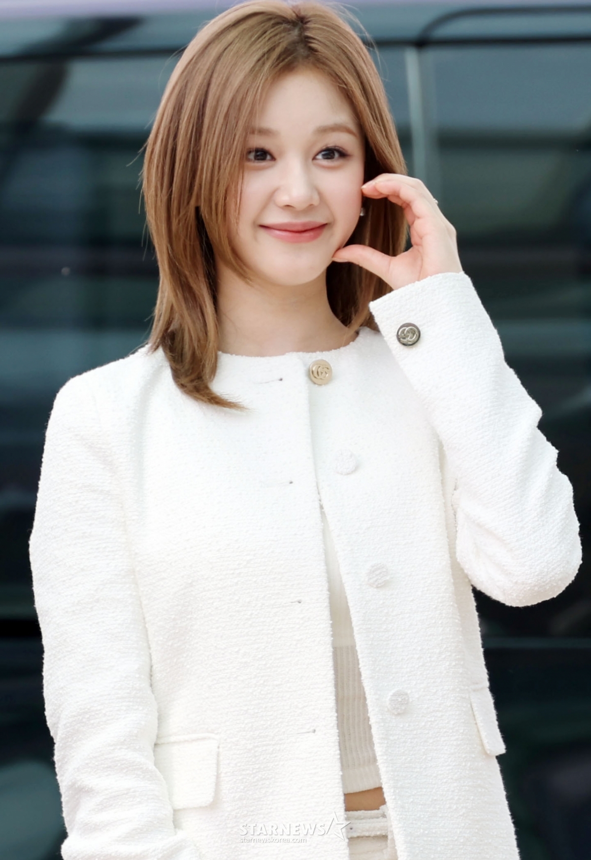 사진
