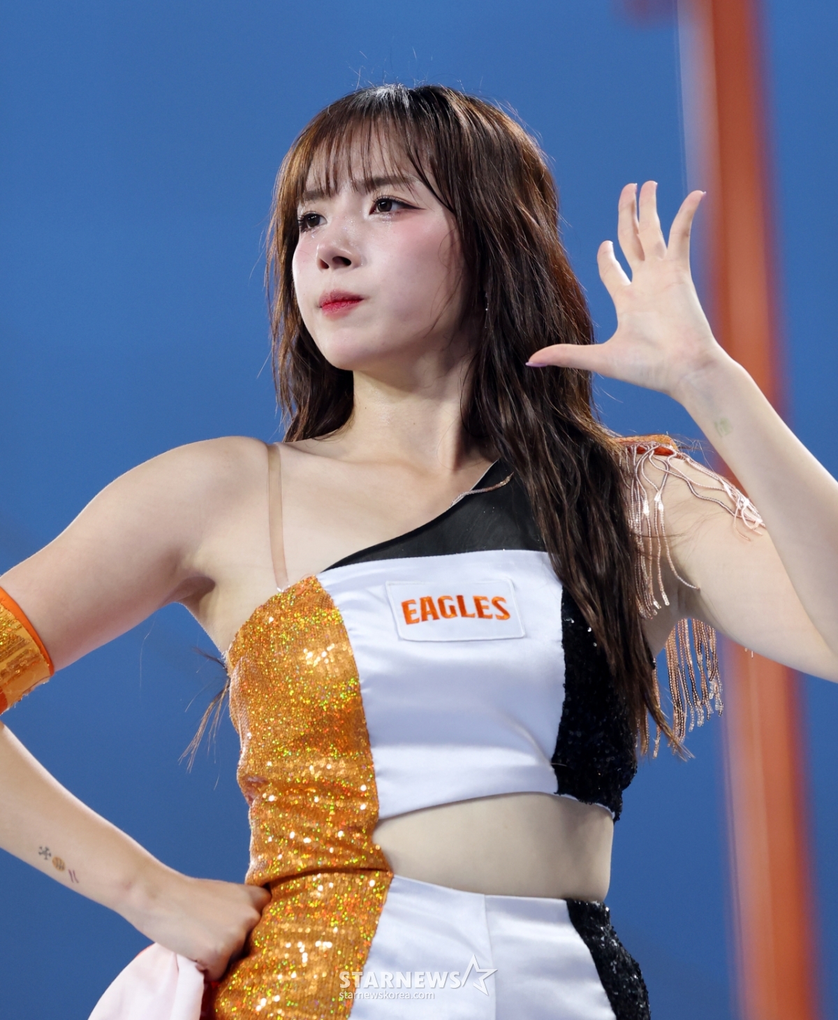 사진