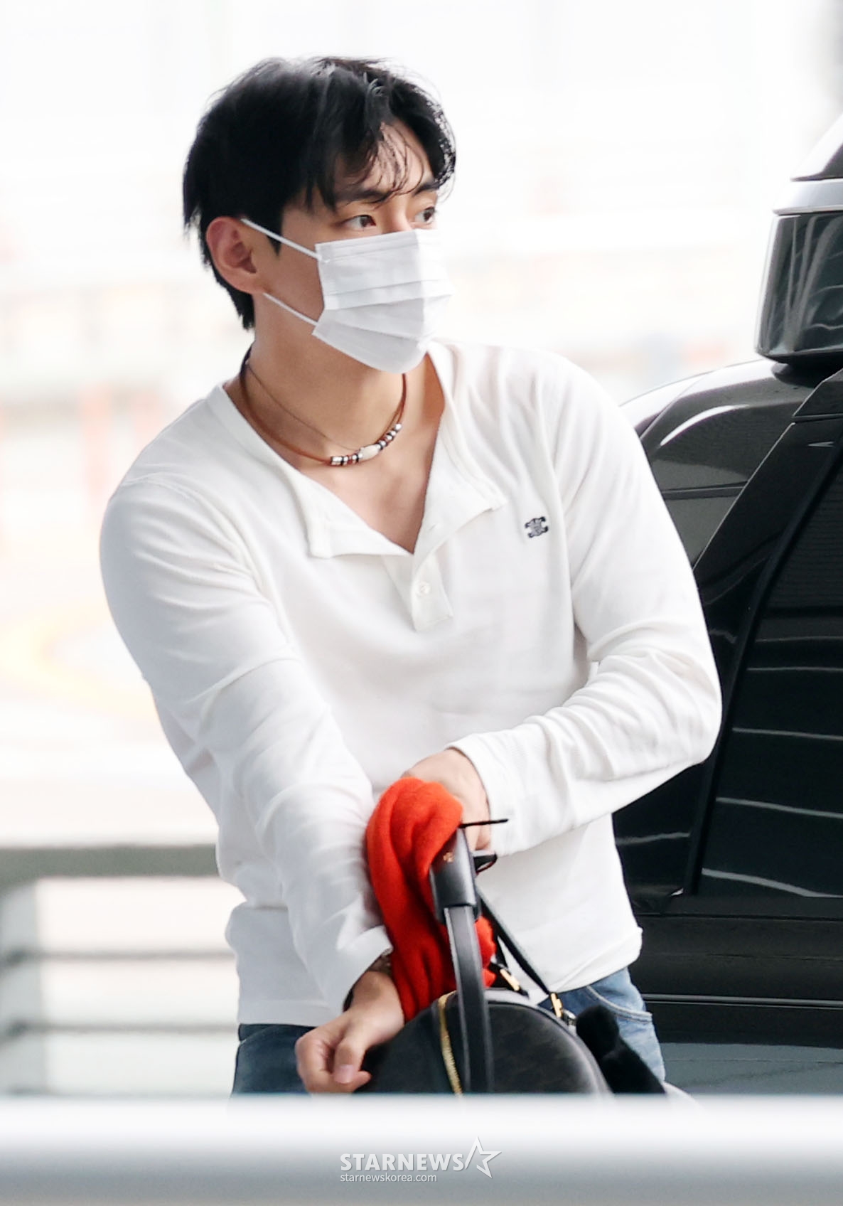 사진