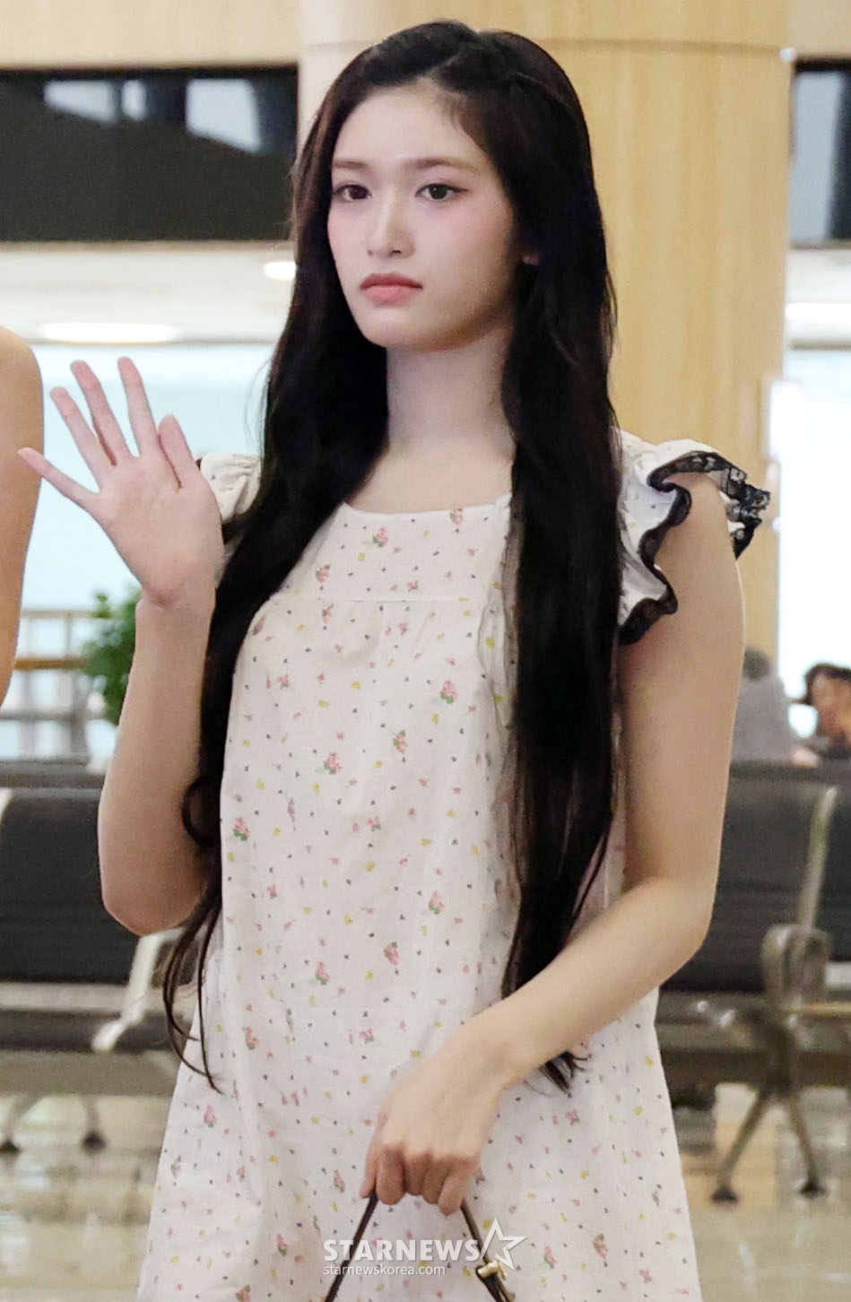 사진