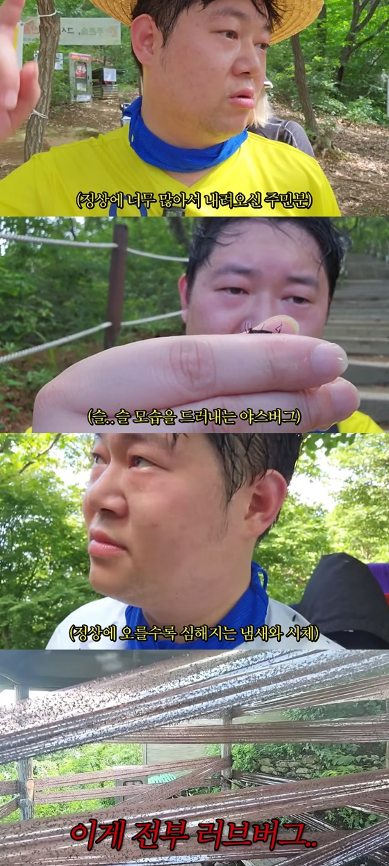 사진