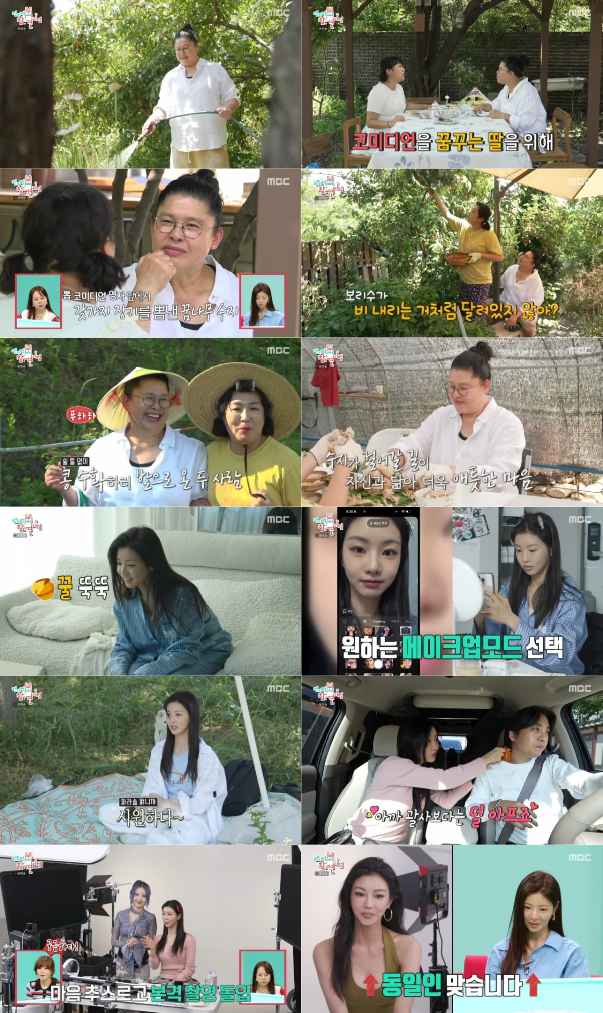 사진=MBC 전지적 참견 시점