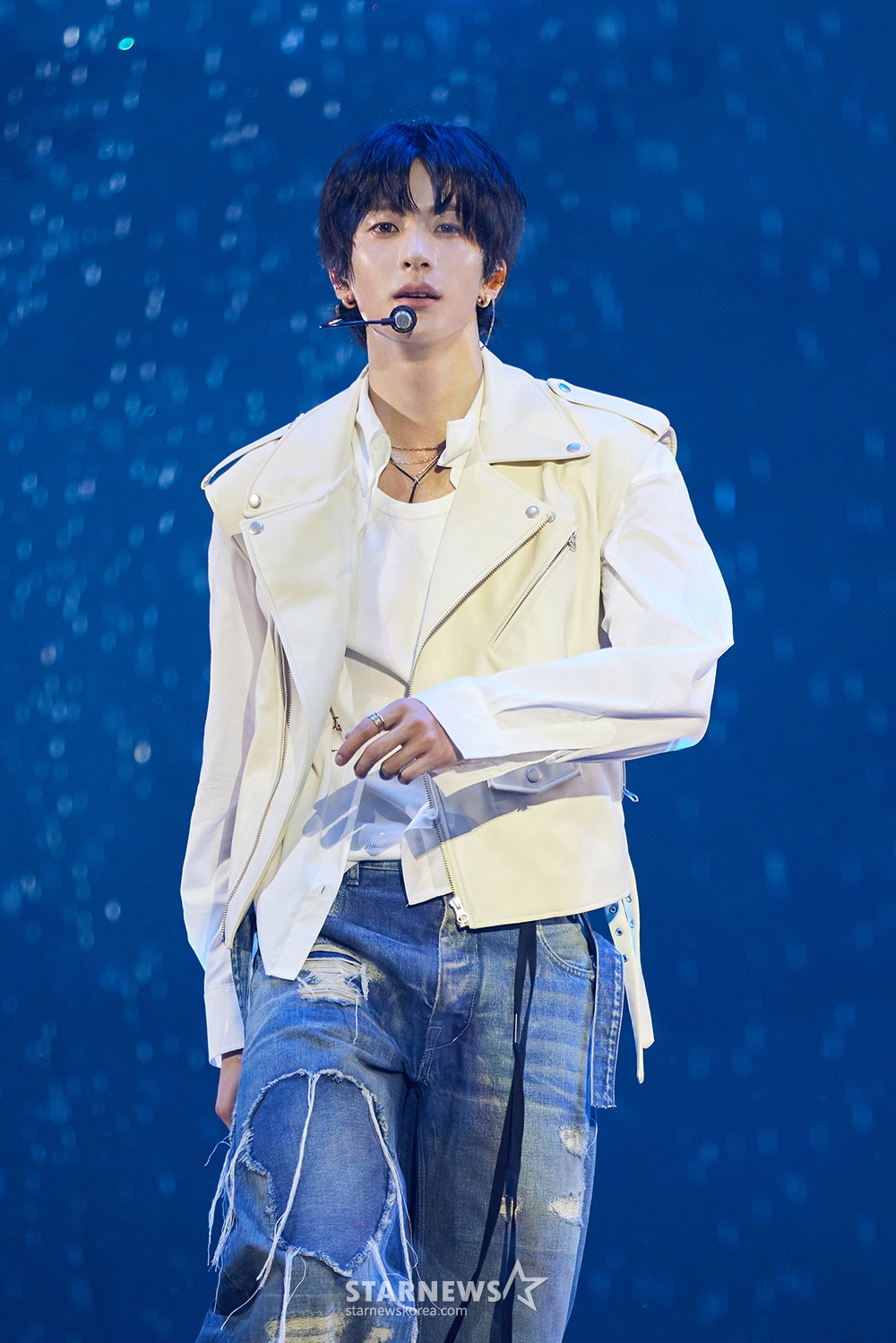 사진