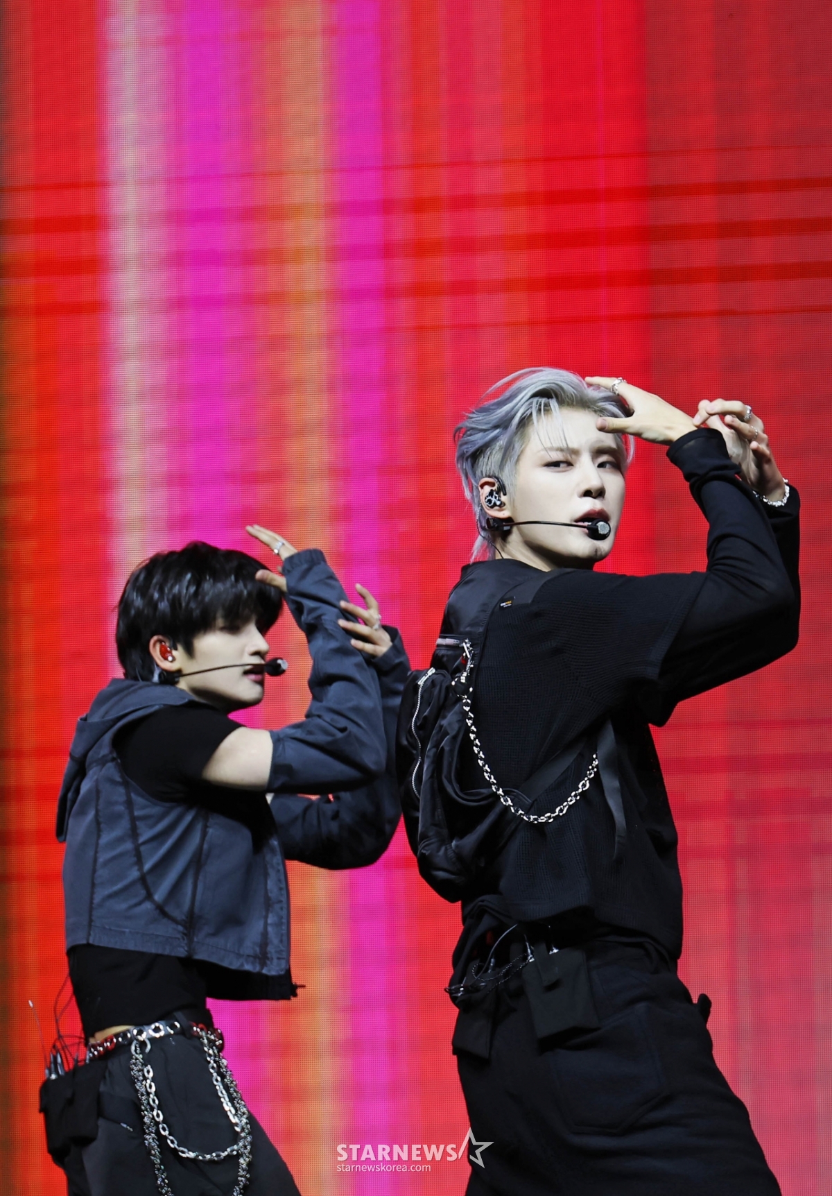 사진