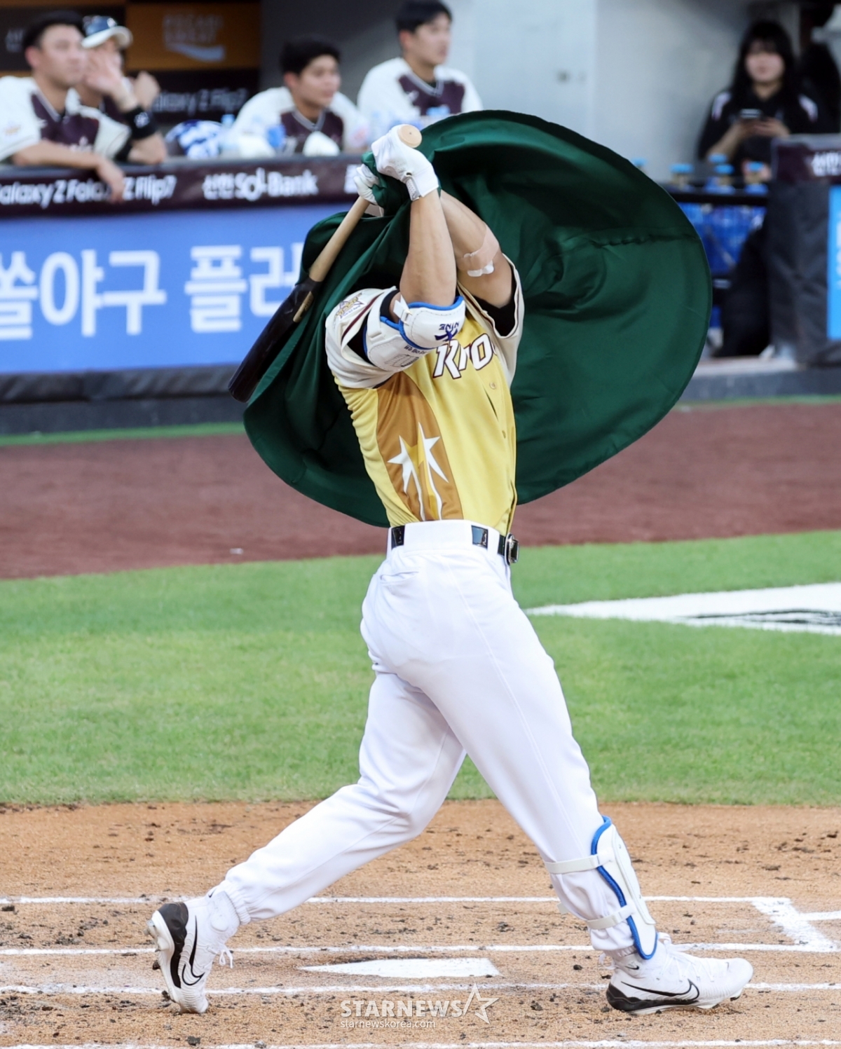 사진