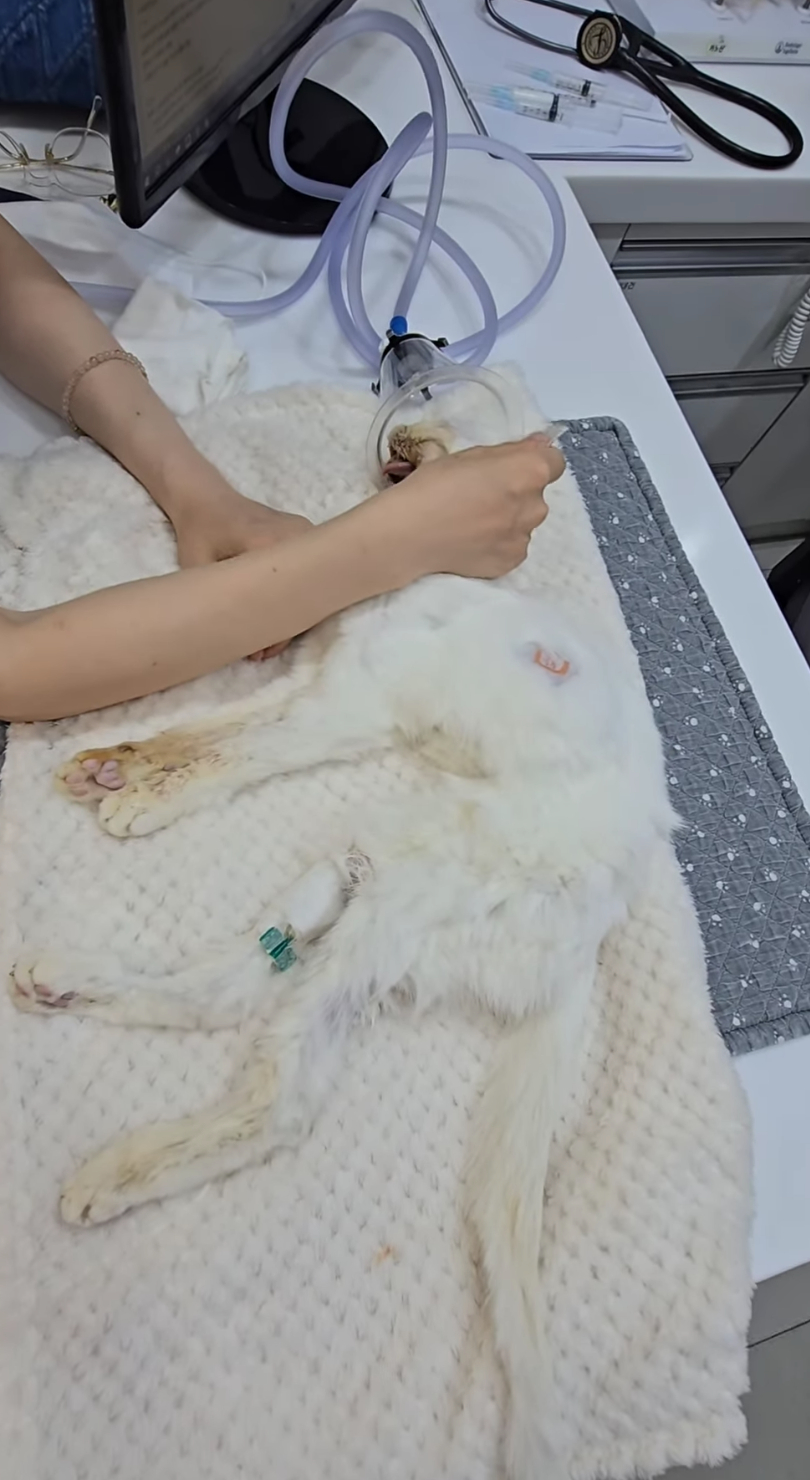 /사진=김정난 SNS