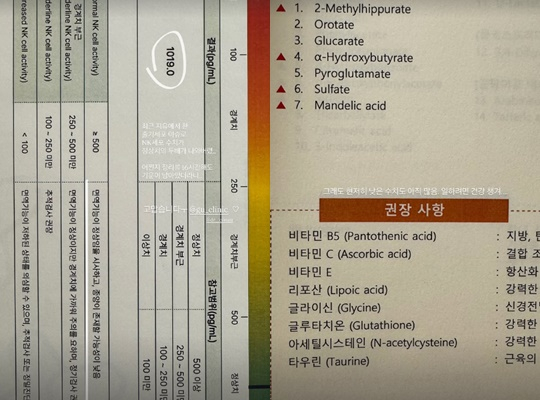 /사진=효민 개인계정