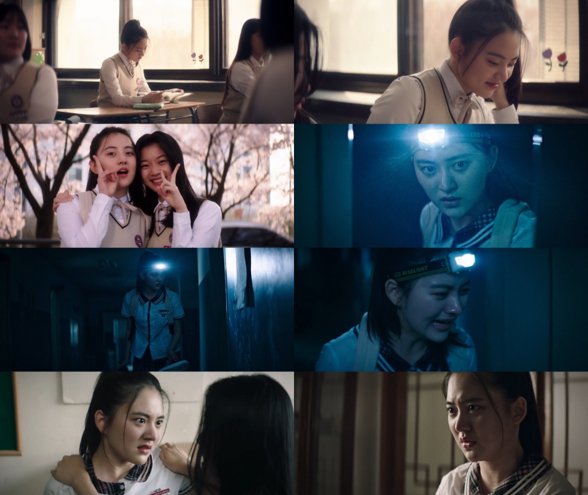 사진
