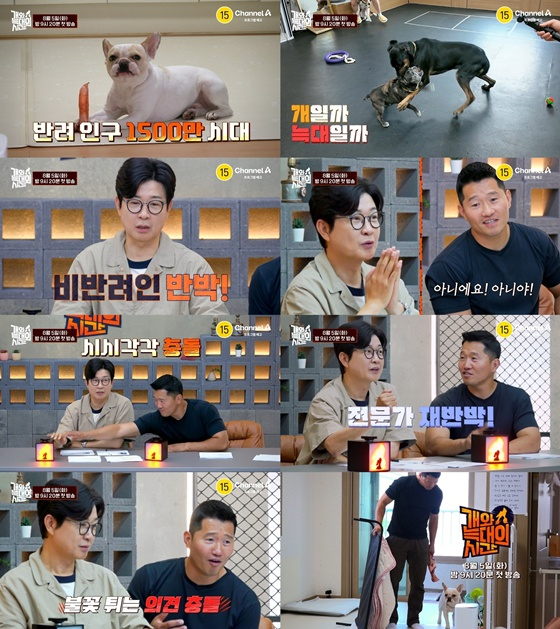 /사진=채널A