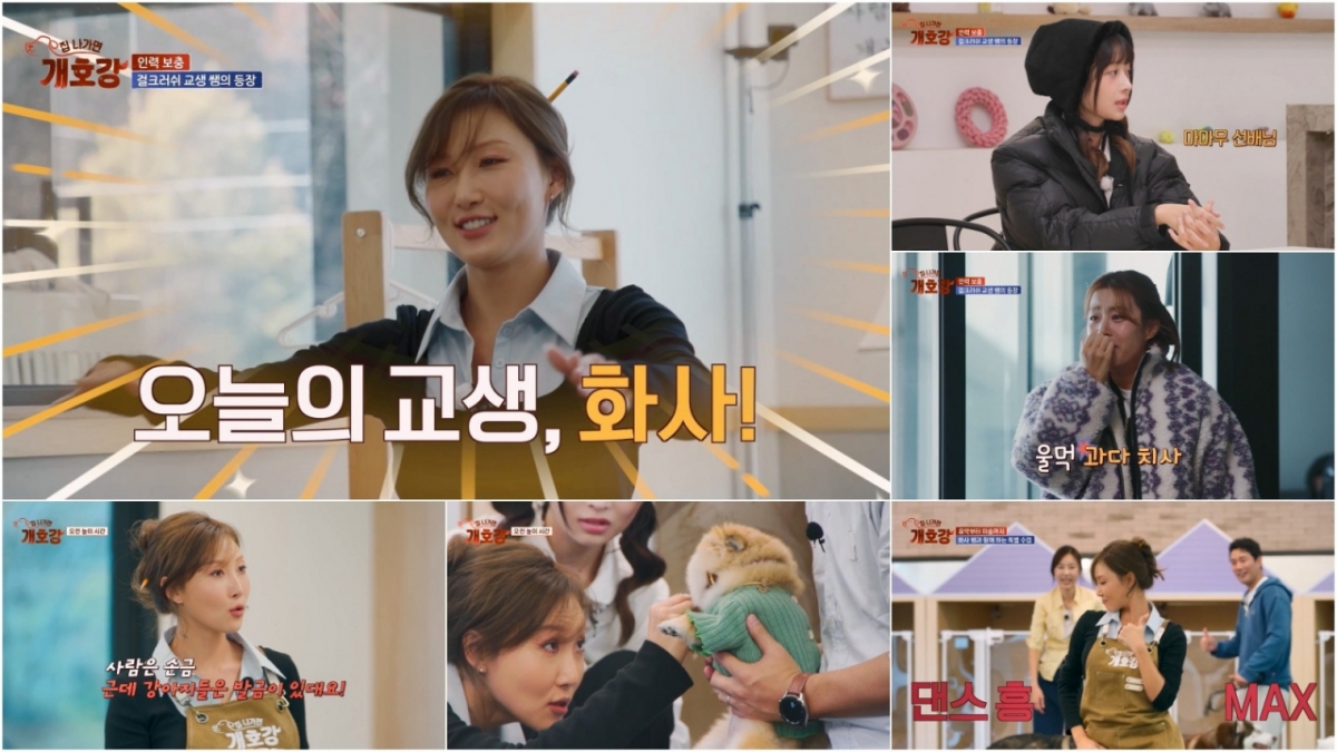 /사진=JTBC '집 나가면 개호강'