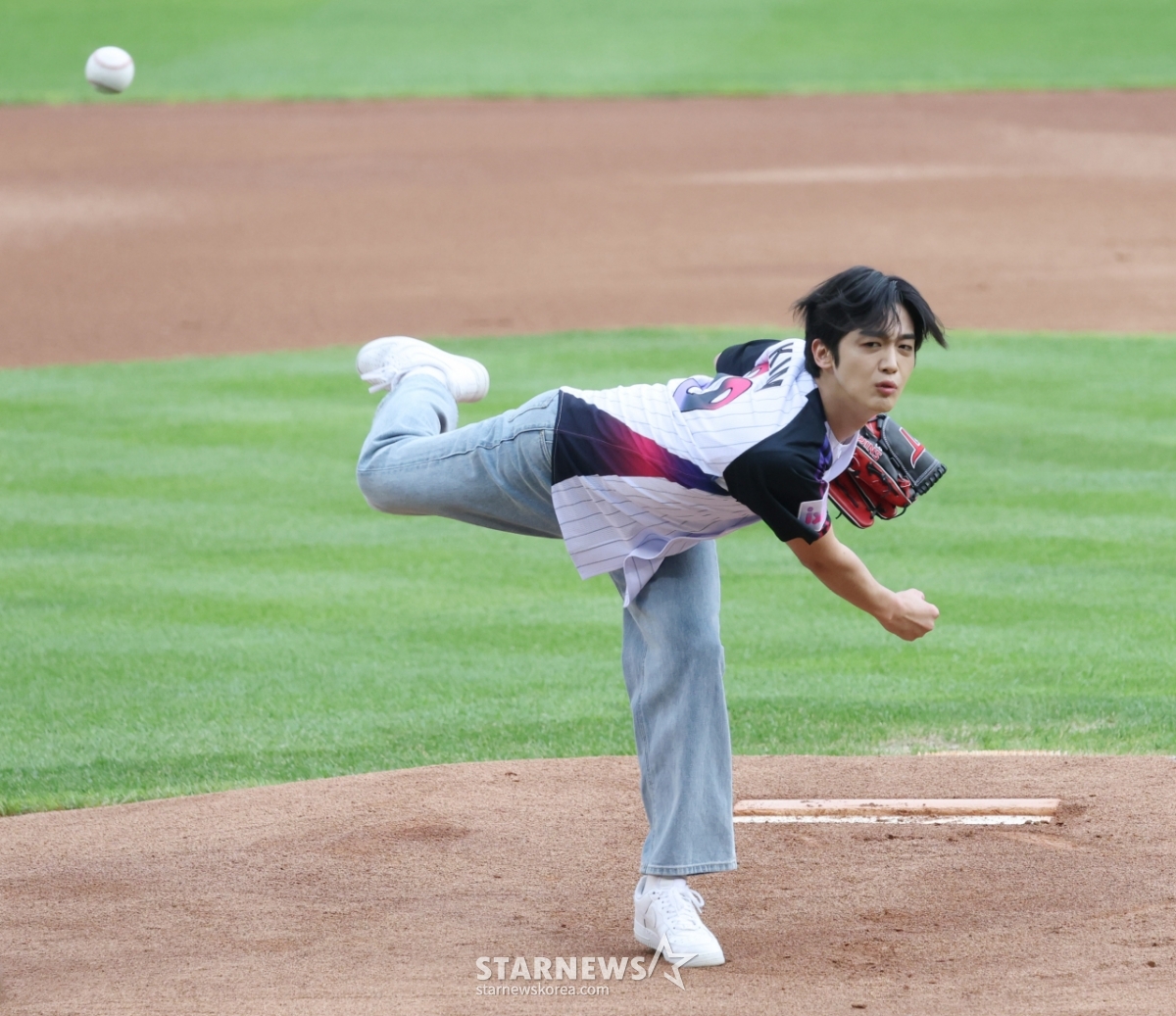 사진