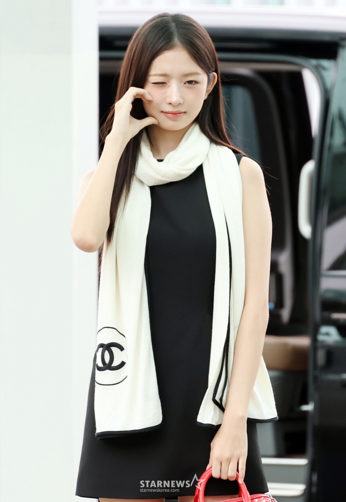 사진