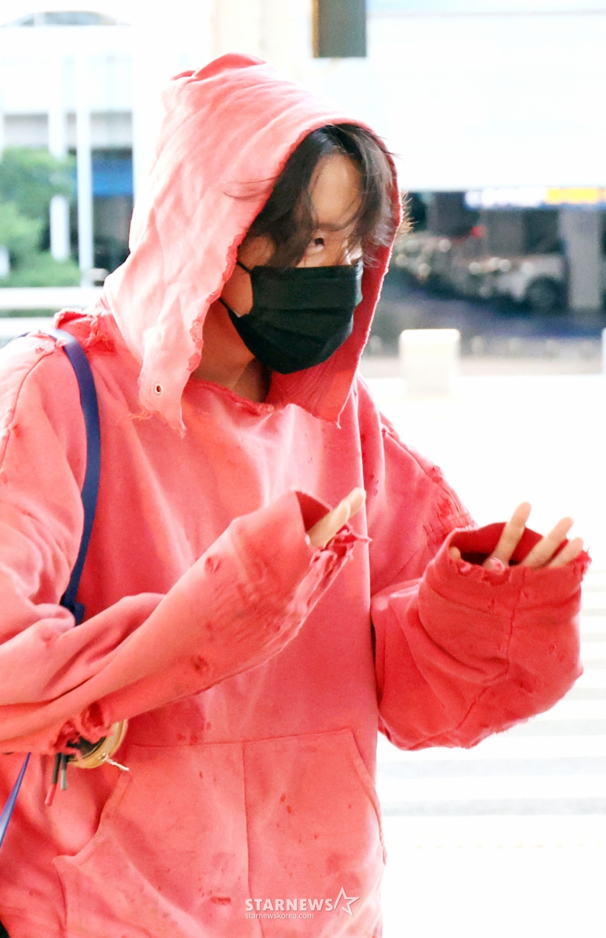 사진