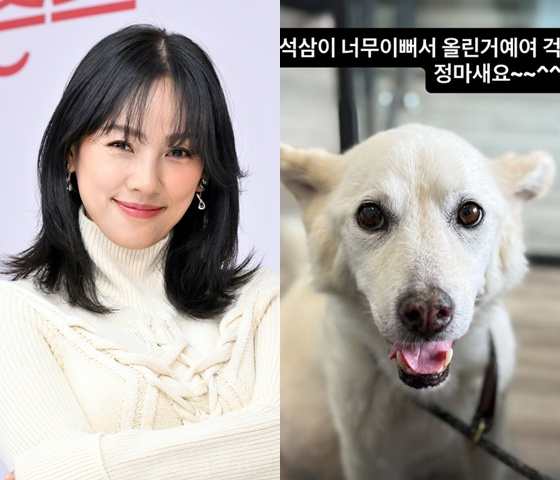 /사진=KBS, 이효리 SNS