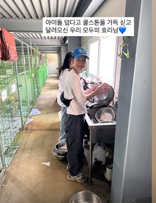 이효리