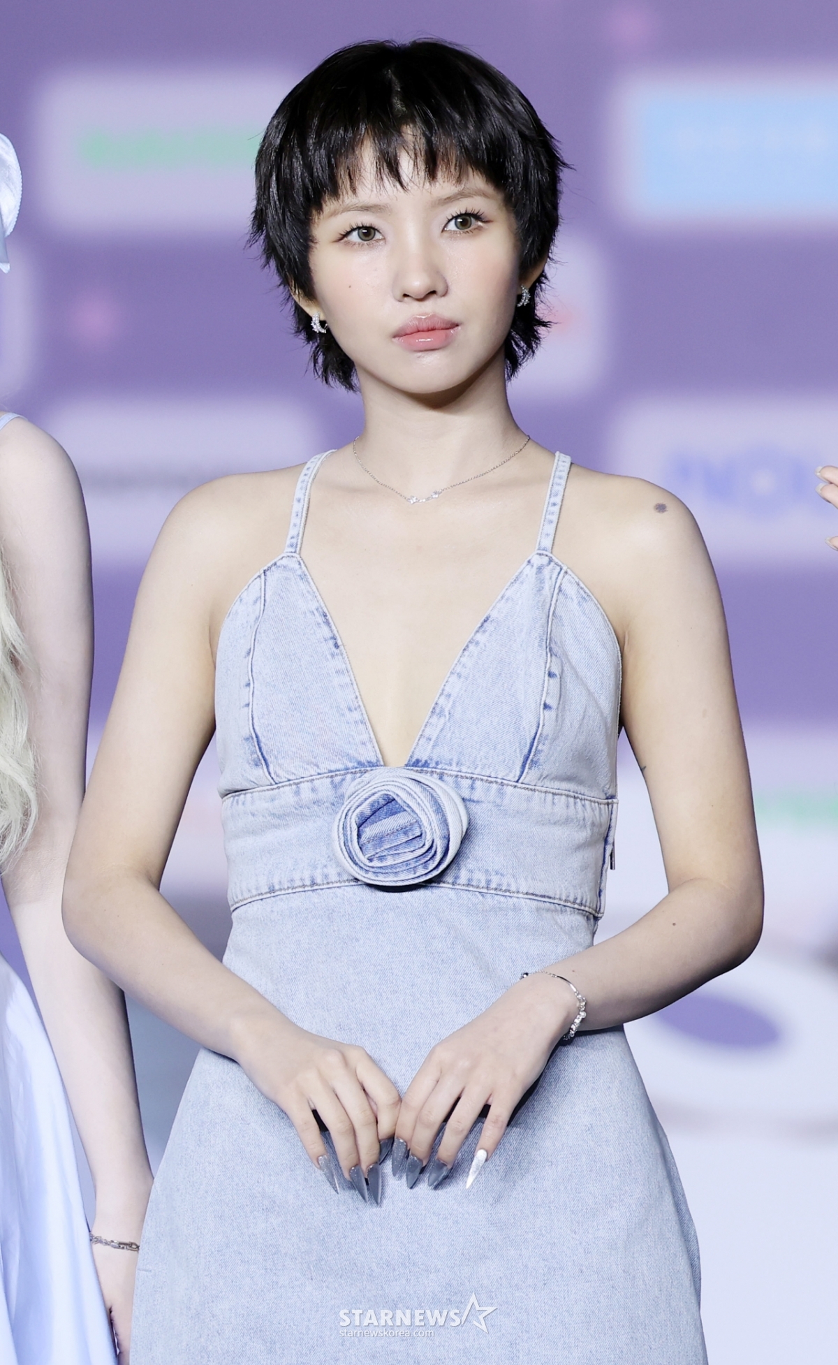 사진