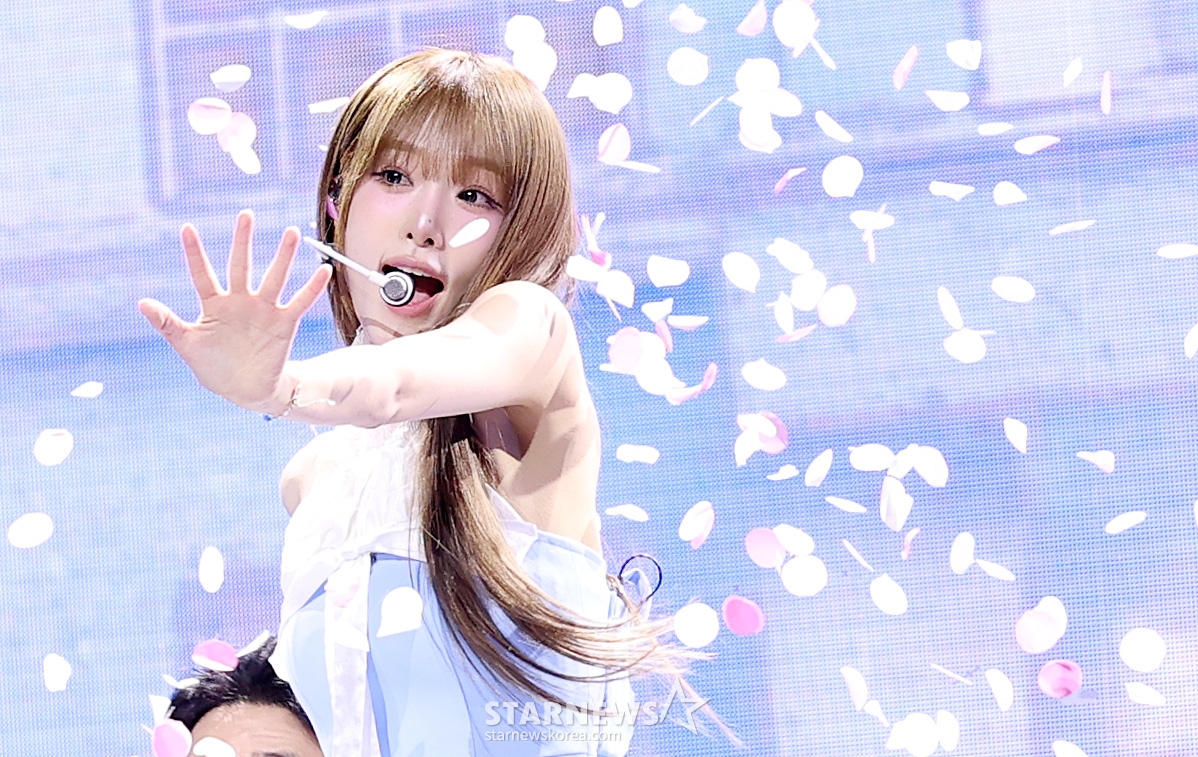 사진