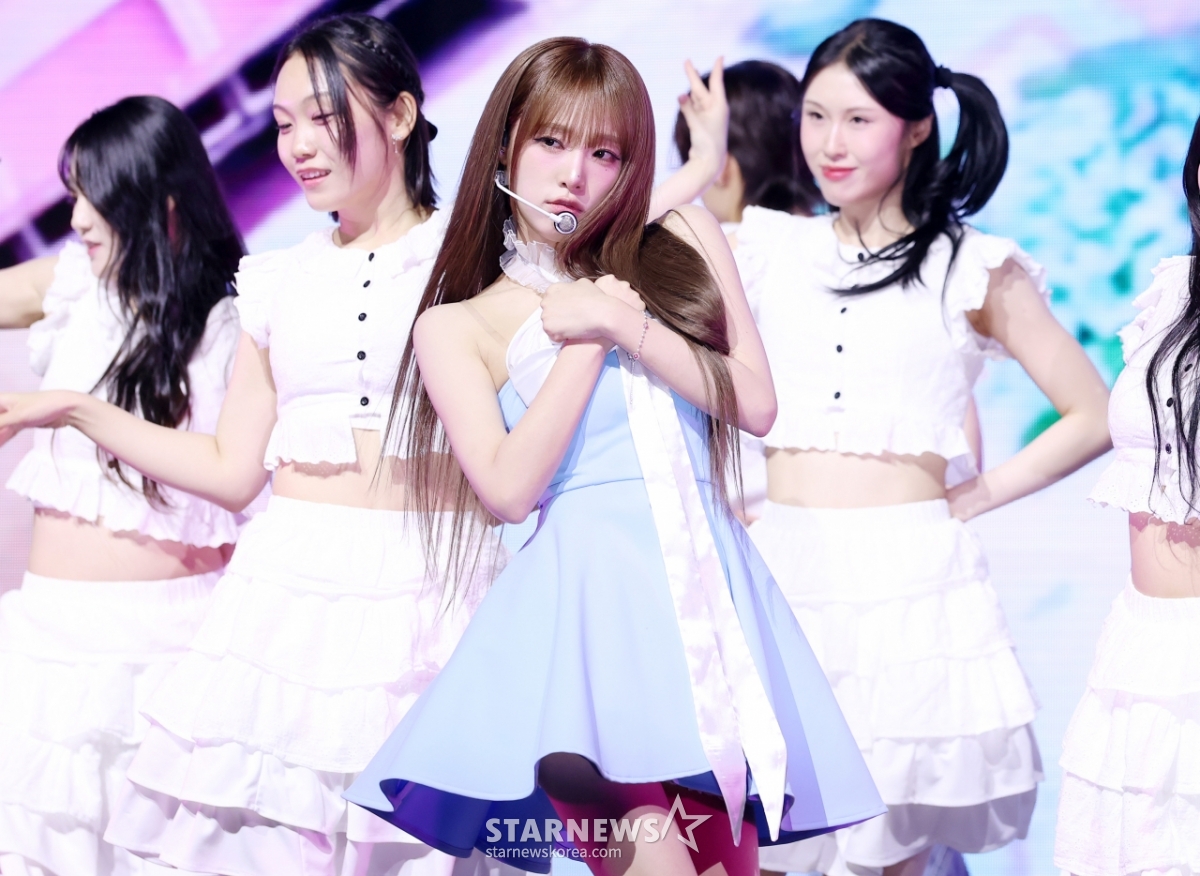 사진
