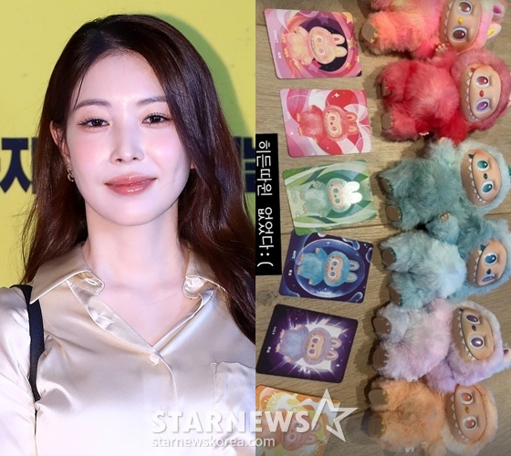 /사진=스타뉴스, 보아 SNS
