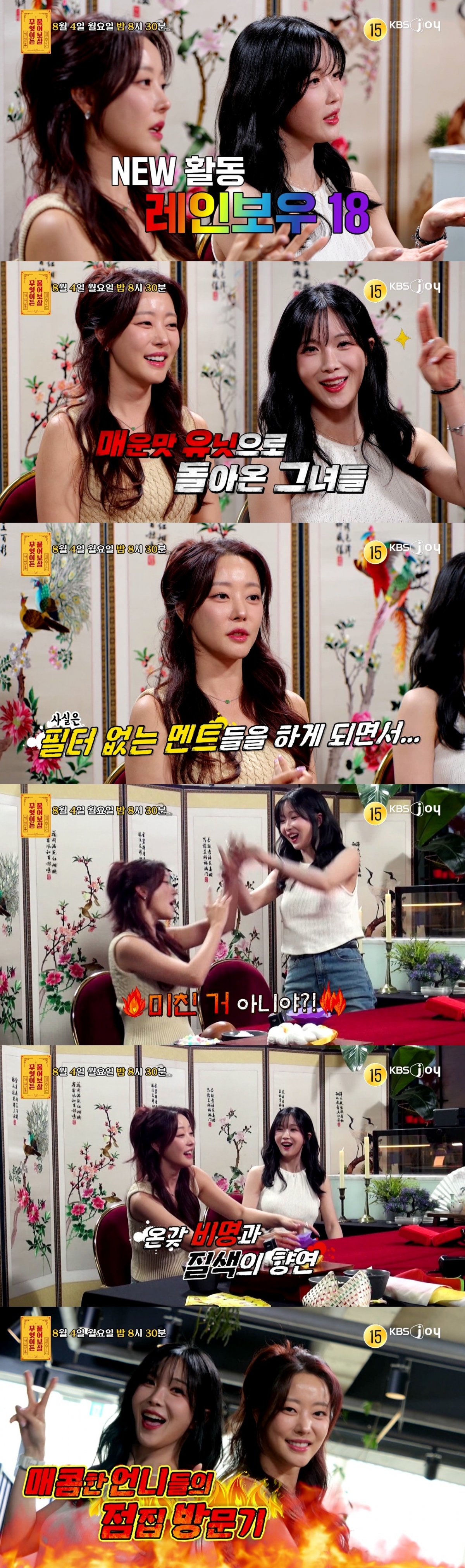 /사진=KBS JOY '무엇이든 물어보살'