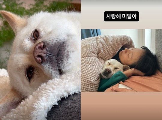 /사진=이효리 개인 계정