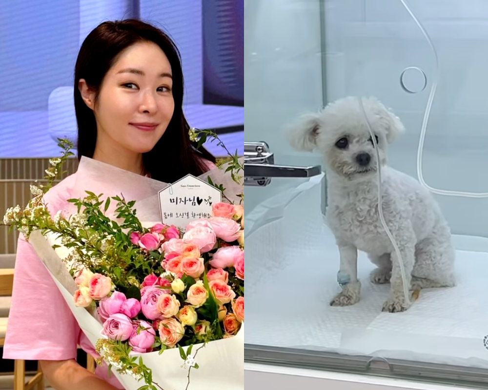 /사진=미자 SNS