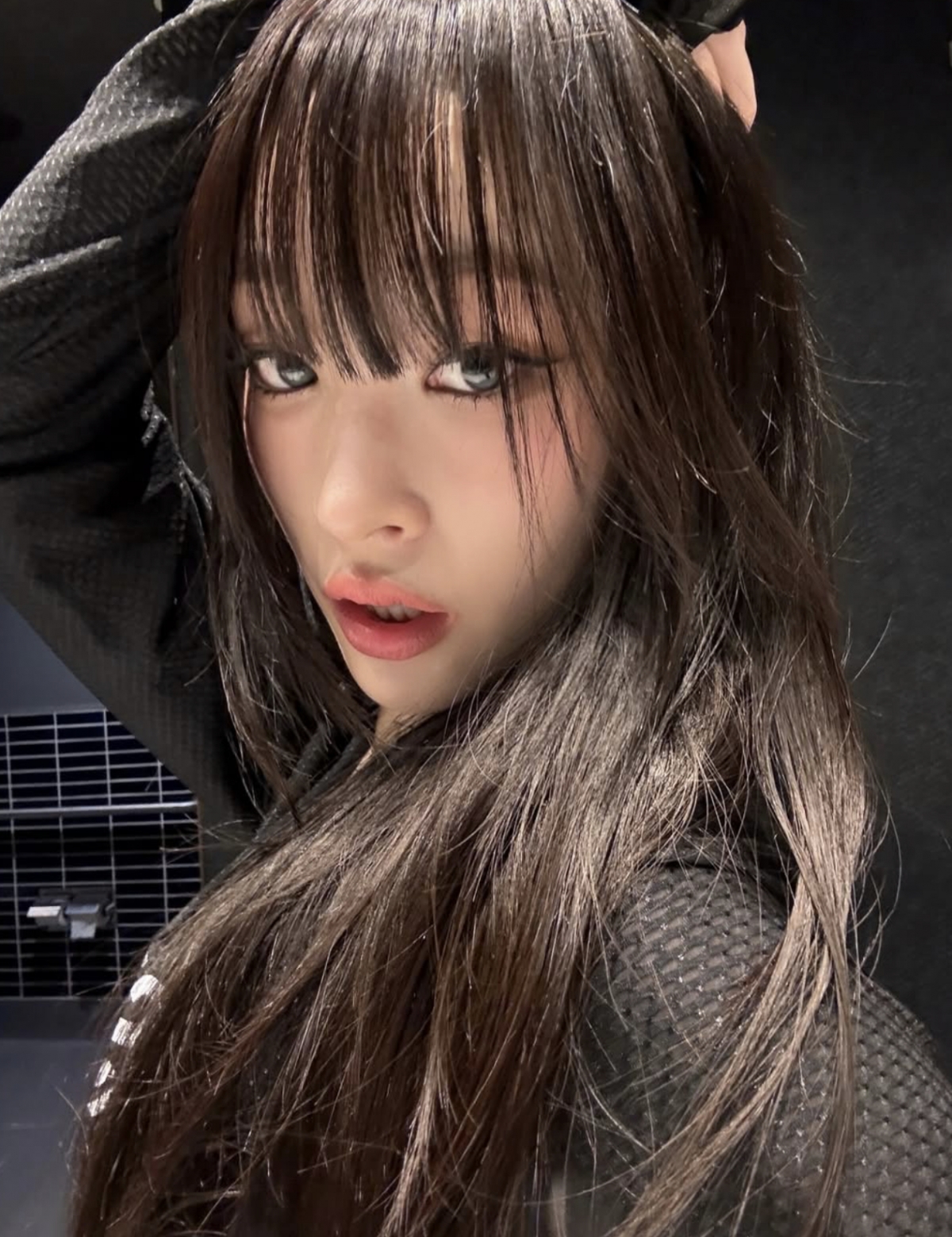 사진