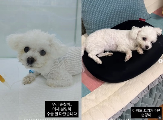 /사진=미자 개인계정