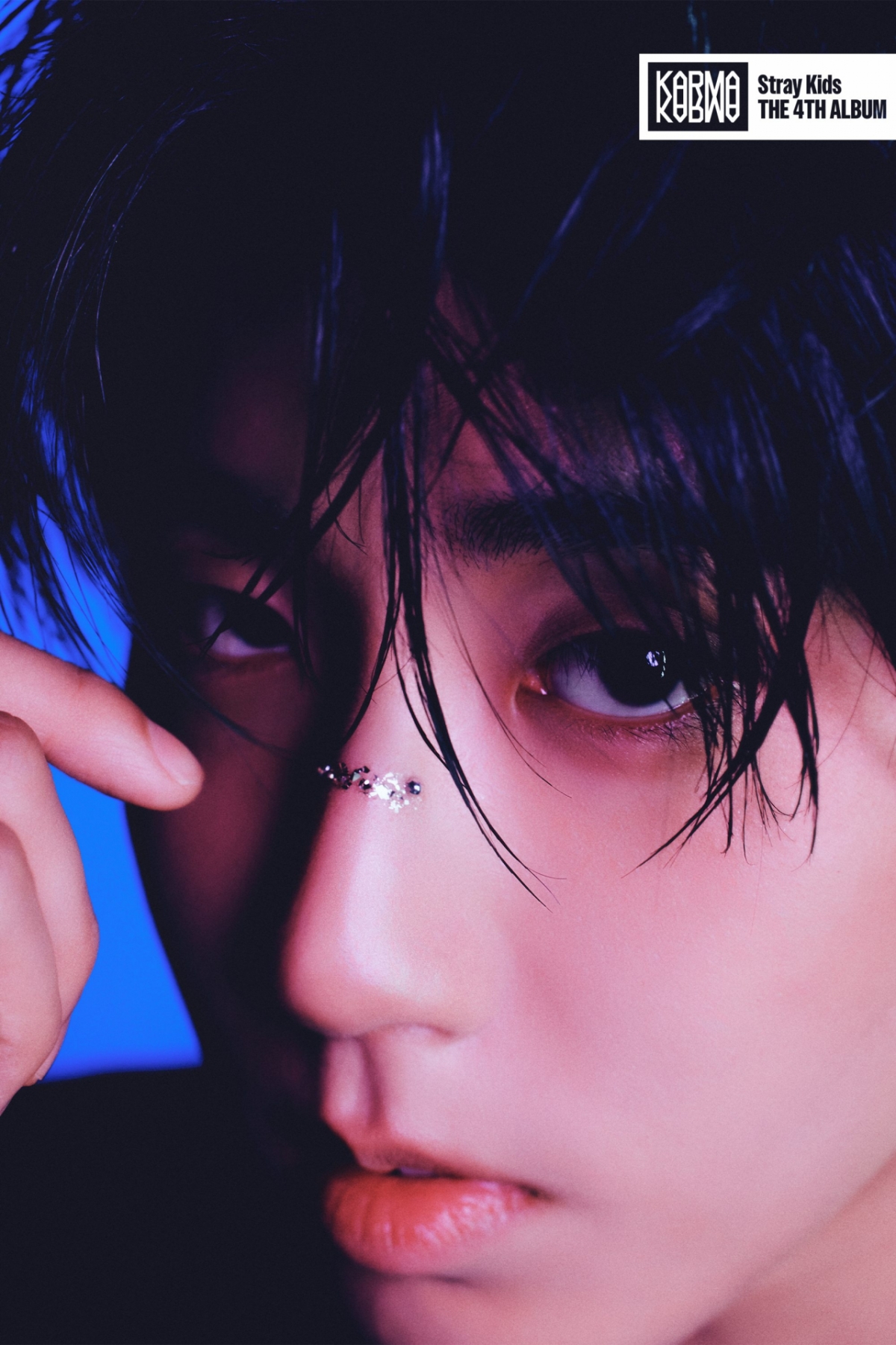 스트레이 키즈 한