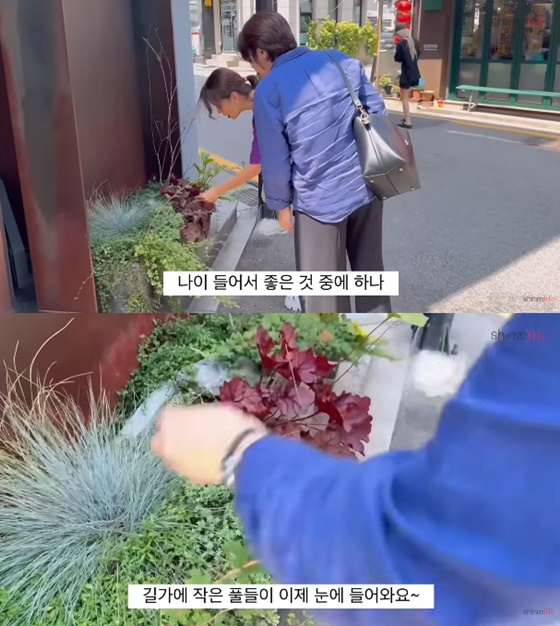 /사진=신애라 유튜브