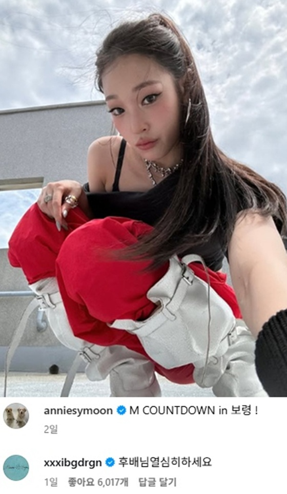 /사진=애니 SNS