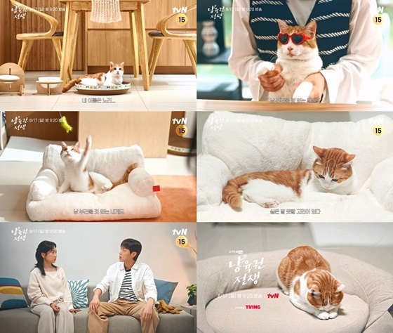 /사진=tvN