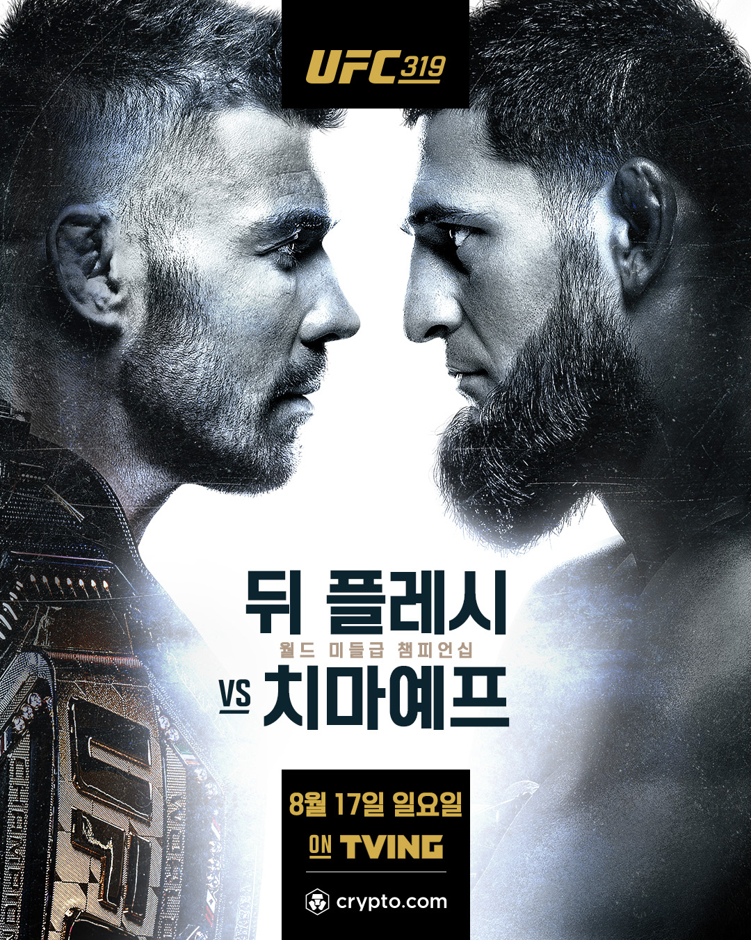 뒤 플레시와 치마예프의 미들급 챔피언십 경기 포스터. /사진=UFC 제공