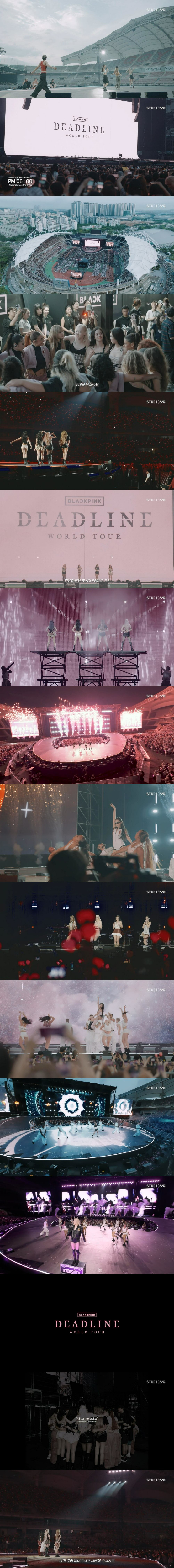 /사진=YG엔터테인먼트 