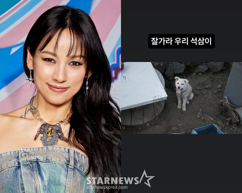 /사진=스타뉴스, 이효리 SNS