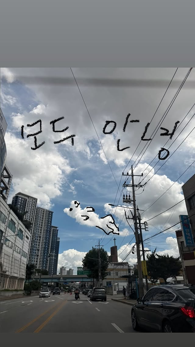 /사진=이효리 SNS