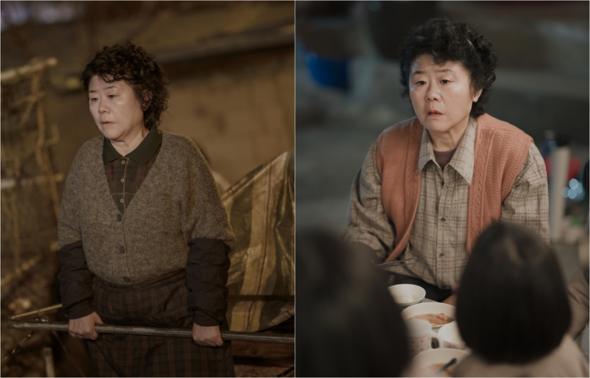 이정은 /사진=JTBC '백번의 추억'