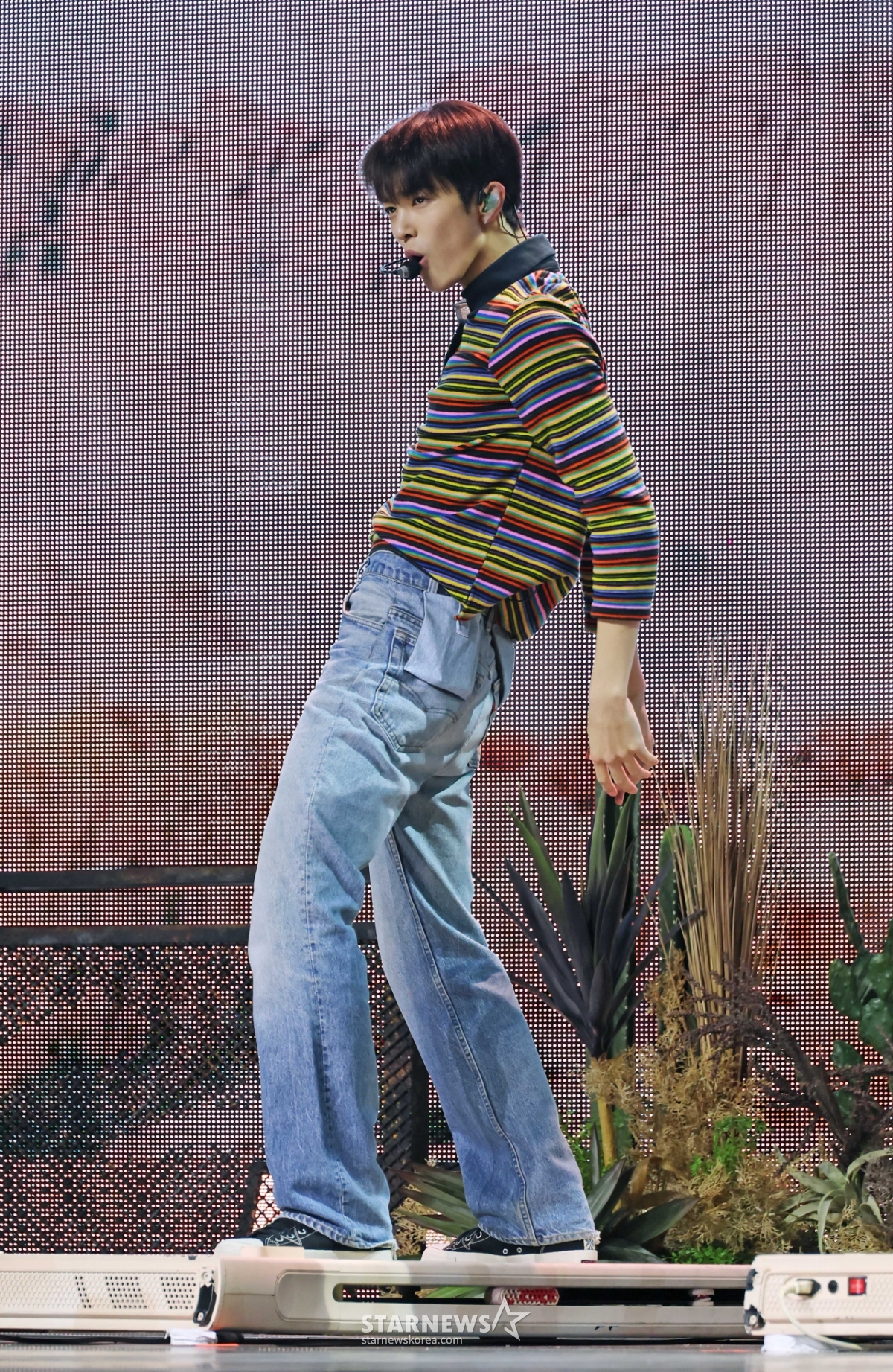 사진